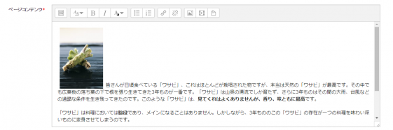 ページ１